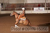 09yn-15056 proof