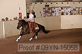 09yn-15058 proof