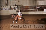 09yn-15059 proof