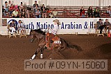 09yn-15060 proof