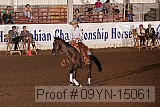 09yn-15061 proof