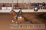 09yn-15063 proof