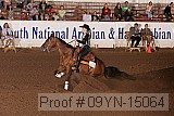 09yn-15064 proof