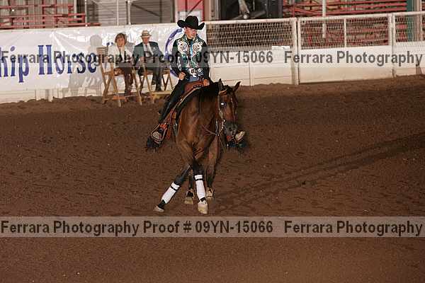 Proof 09yn-15066