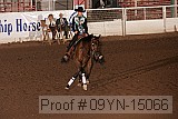 09yn-15066 proof