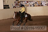 09yn-15067 proof