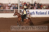 09yn-15069 proof