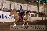 09yn-15085 proof