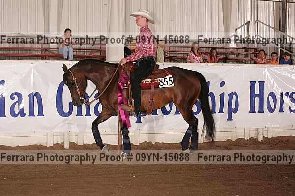 Proof 09yn-15088