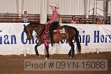 09yn-15088 proof