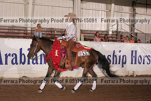 Proof 09yn-15091