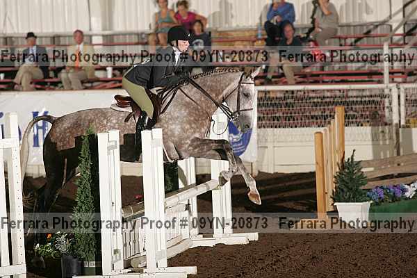 Proof 09yn-20873