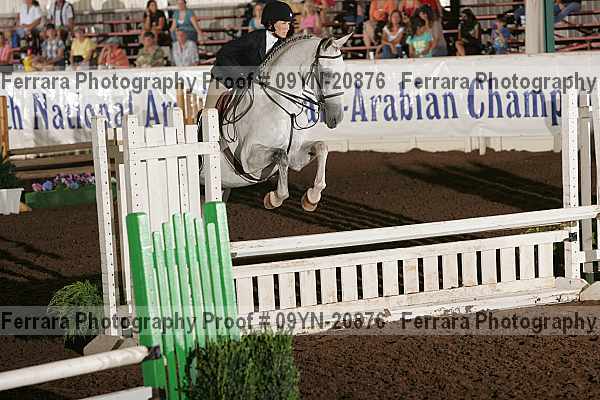 Proof 09yn-20876