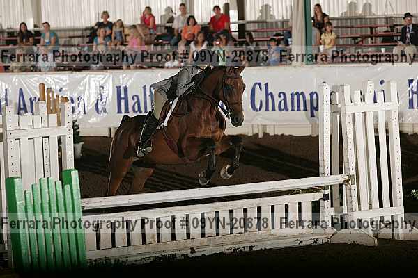 Proof 09yn-20878