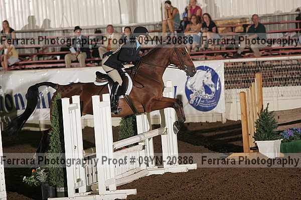 Proof 09yn-20886