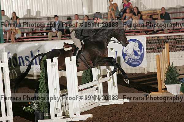 Proof 09yn-20888