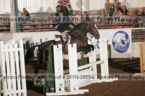 Proof 09yn-20894