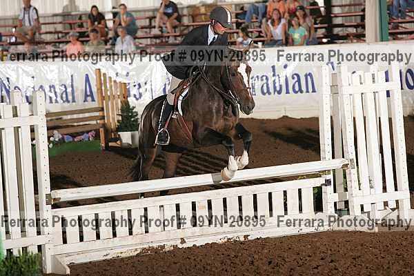 Proof 09yn-20895