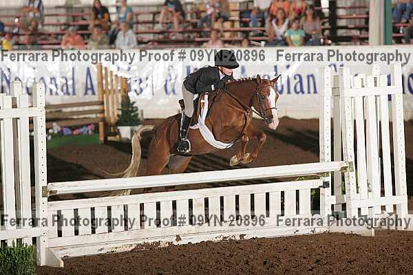 Proof 09yn-20896