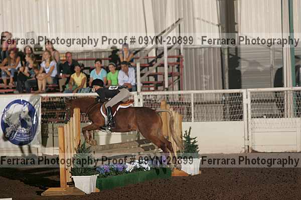 Proof 09yn-20899