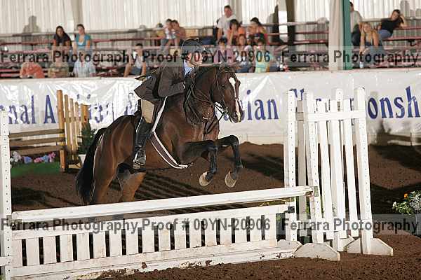Proof 09yn-20906