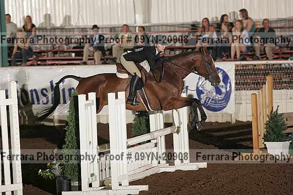 Proof 09yn-20908