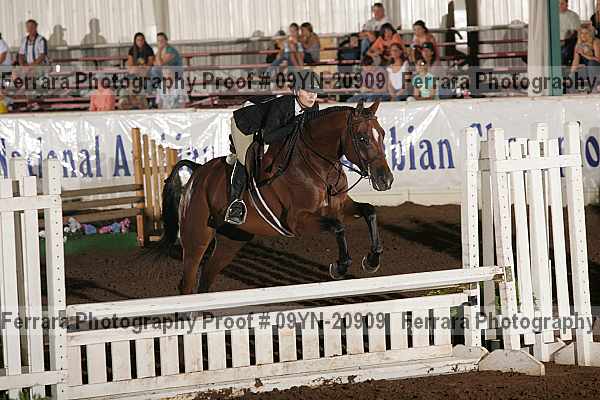 Proof 09yn-20909