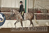 09yn-20911 proof