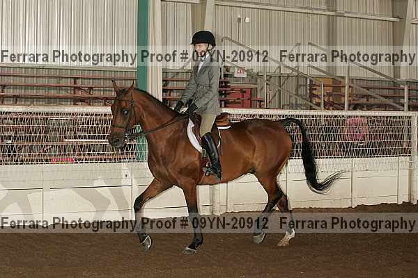 Proof 09yn-20912