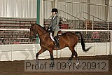 09yn-20912 proof