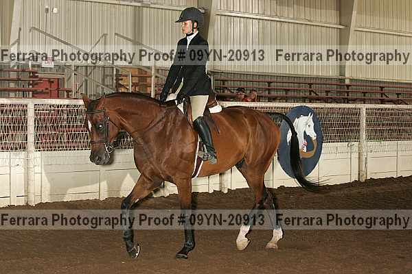 Proof 09yn-20913