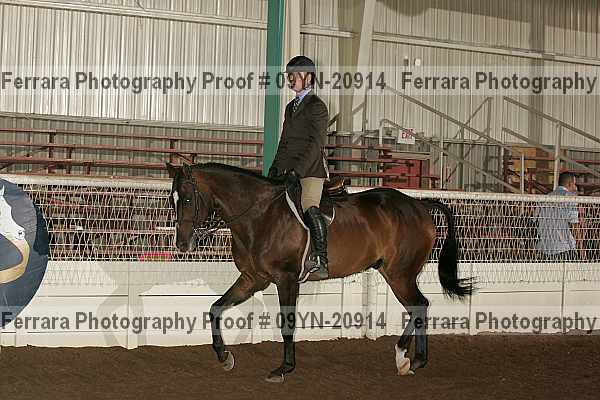 Proof 09yn-20914
