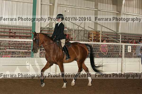 Proof 09yn-20915