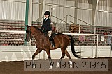 09yn-20915 proof