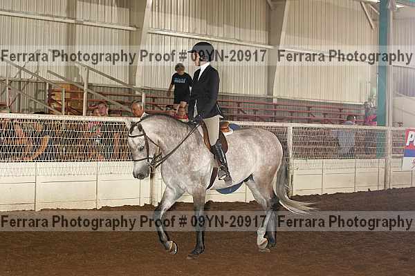 Proof 09yn-20917