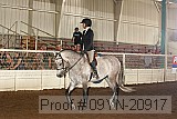 09yn-20917 proof