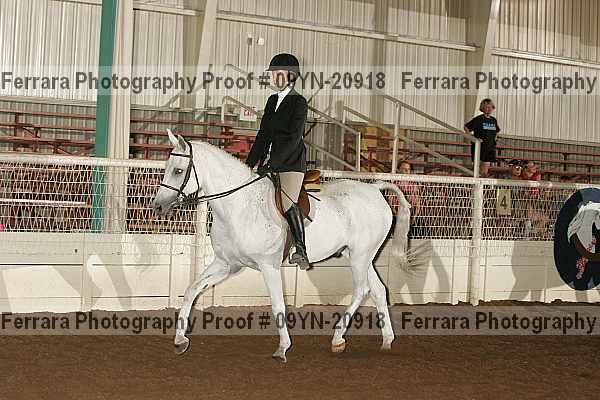 Proof 09yn-20918