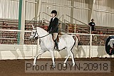 09yn-20918 proof