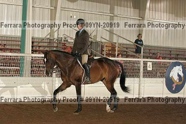 Proof 09yn-20919