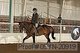09yn-20919 proof