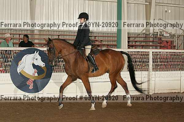 Proof 09yn-20920