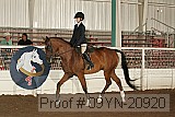 09yn-20920 proof