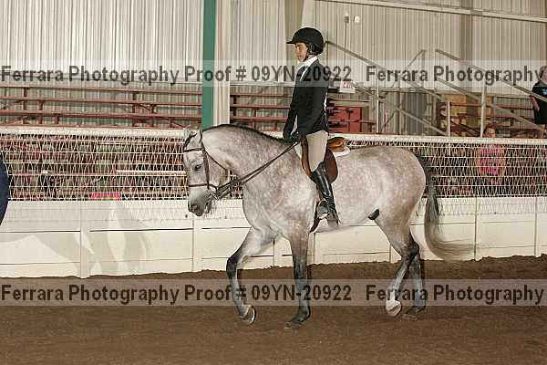 Proof 09yn-20922