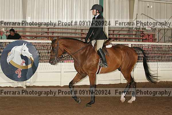 Proof 09yn-20924