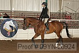 09yn-20924 proof