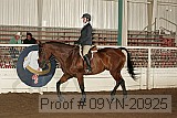 09yn-20925 proof