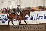 09yn-20927 proof