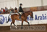 09yn-20928 proof