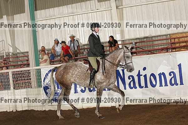 Proof 09yn-20930