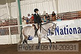 09yn-20931 proof